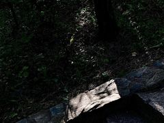 -香山公园