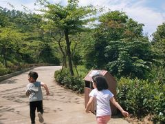 -田心森林公园