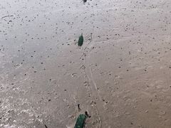 -蛇蟠岛