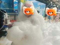 -天山海世界