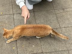 -荔湾博物馆