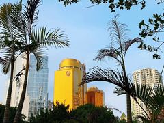 -厦门喜来登酒店