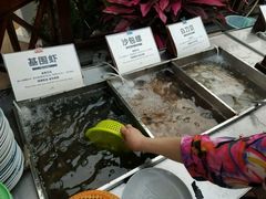 -渔家火锅·海鲜自助餐·演艺(亚龙湾天域酒店)