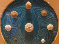 -中国湿地博物馆