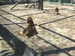 -西安秦岭野生动物园