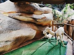 -杭州开元森泊度假乐园