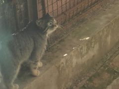 -青藏高原野生动物园