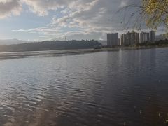 -洱海月湿地公园
