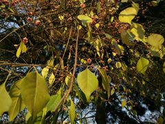 -辽宁大学(崇山校区)