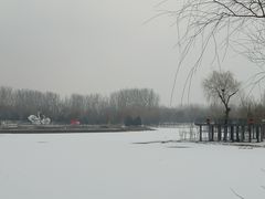 -东郊湿地公园