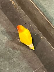 -酷嗒动物文化乐园(cutezoo西溪乐天城店)