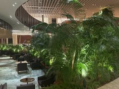 -北京望京凯悦酒店The Lounge大堂酒廊