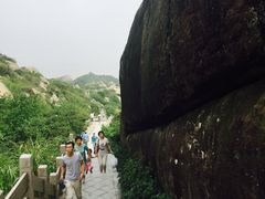-洋山深水港