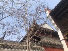 -长春观