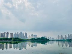 -月湖风景区
