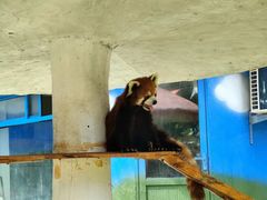 -栾川竹海野生动物园