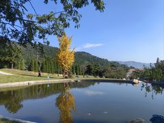 -沂蒙山旅游区云蒙景区(蒙山国家森林公园)