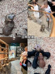 -欢乐舟·舟舟玩乐园