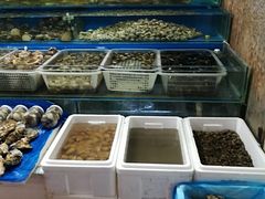 水产区-金宝生活市场(东五环店)