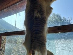 -猎鹰谷实弹射击俱乐部