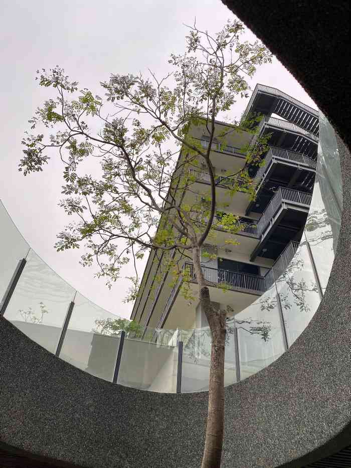 泰华梧桐岛-"这可能是住过最特别的酒店了,有无印良品的.