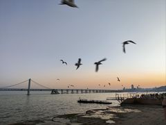 -星海广场