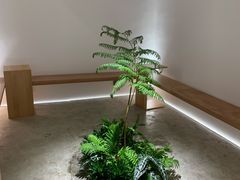 -光作面包Voila Lumiere(中山店)