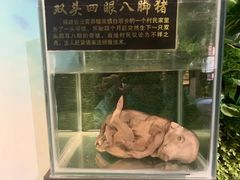-厦门海底世界