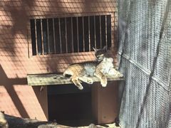 -青藏高原野生动物园