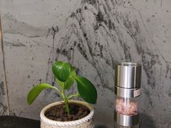 -新草堂锅物料理(泉城路店)
