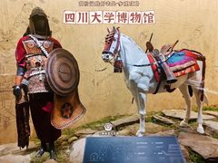 -四川大学博物馆