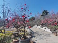 -苏州上方山国家森林公园