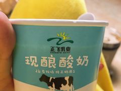 -正飞鲜奶(南湖一期店)