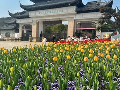 -苏州上方山国家森林公园
