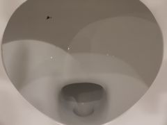 -黄河美华酒店(兰州高铁西站七里河黄河大桥店)