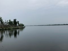 -漩门湾国家湿地公园