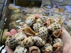 -明记海鲜大排档(巽寮湾店)