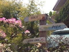 iphone_upload_pic-南丫岛