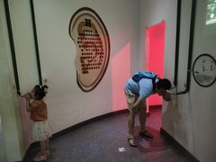 -陕西自然博物馆