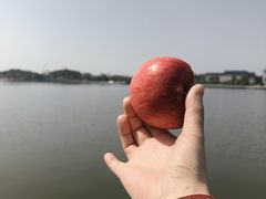 -岳阳市博物馆