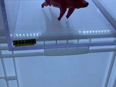 -chi K11艺术空间展览厅