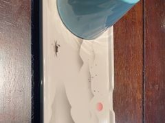 -江边城外烤鱼(方庄时代购物中心店)