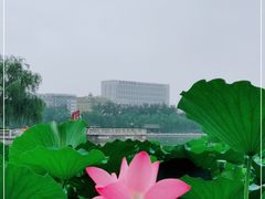 -北京电力医院