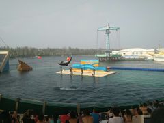 -秦皇岛乐岛海洋王国