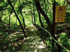 -老象峰