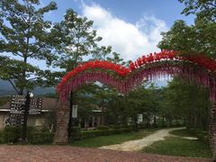 -田野绿世界