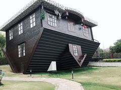 -金山农民画村-枫泾波兰倒置屋