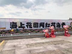 -杭州湾海上花田景区