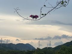 -白石龙音乐公园