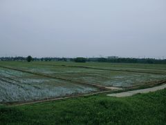 -嘉北郊野公园